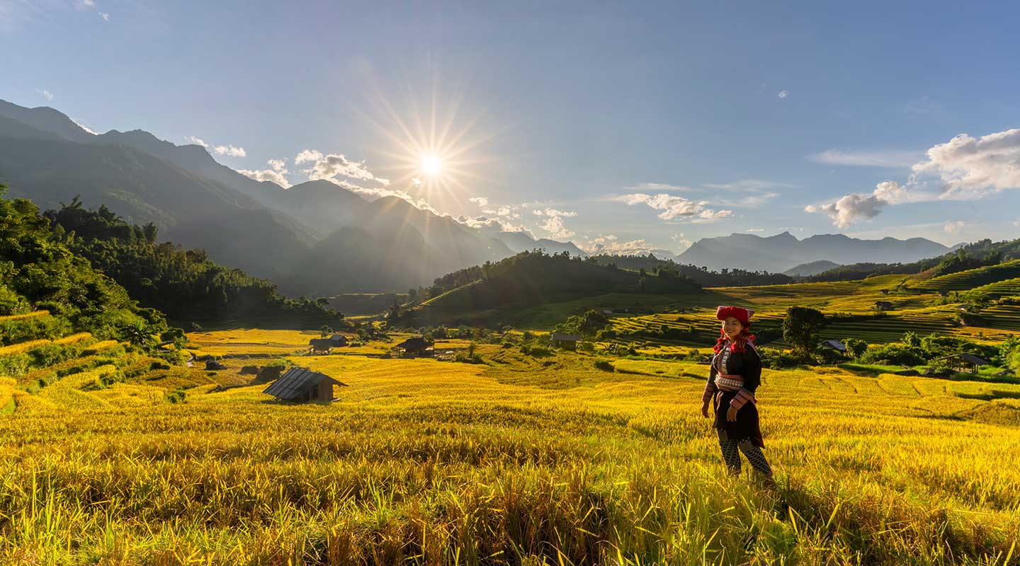 Beautiful rice field in Nam Cang Sapa