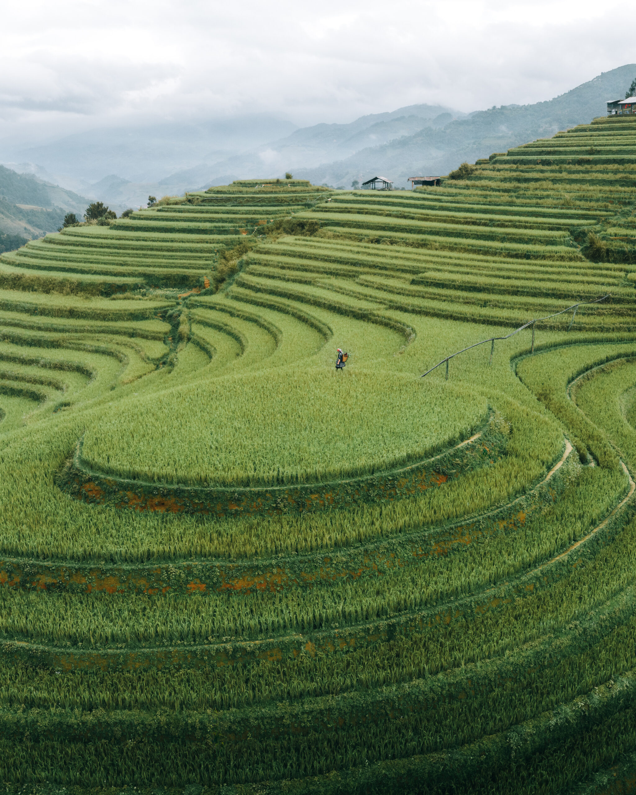 The majestic ha giang rice terraces - Topas travel vietnam - 03